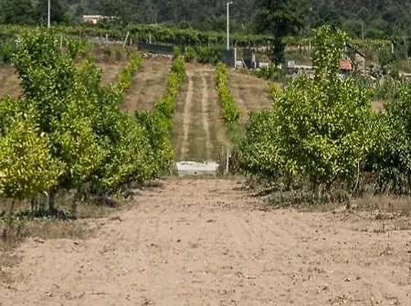 Prázdninový dům Lemon Grove With Private Pool - Oporto Lemon Farm, Near Porto