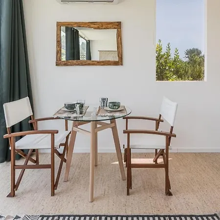 Lemon Grove With Private Pool - Oporto Lemon Farm, Near Porto