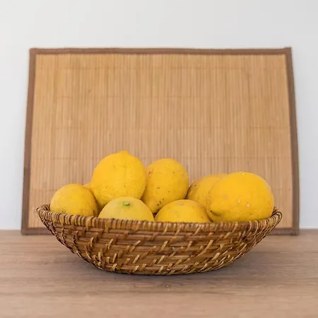 Lemon Grove With Private Pool - Oporto Lemon Farm, Near Porto Feriehus