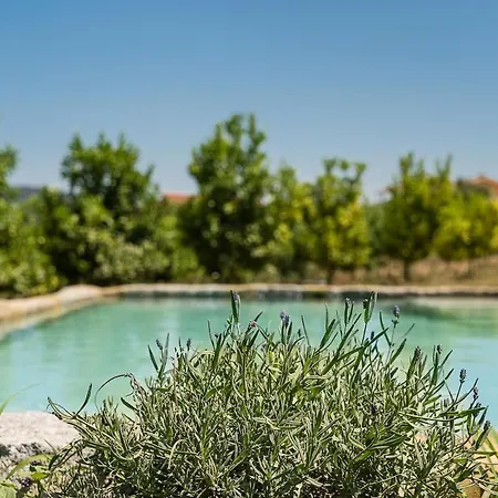 Lemon Grove With Private Pool - Oporto Lemon Farm, Near Porto * Valpedre