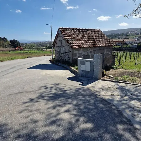 Feriehus Lemon Grove With Private Pool - Oporto Lemon Farm, Near Porto *
