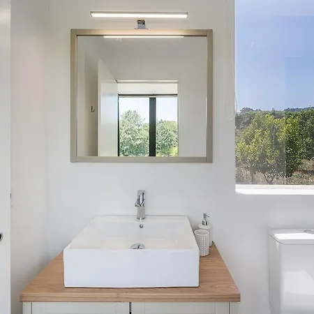 Feriehus Lemon Grove With Private Pool - Oporto Lemon Farm, Near Porto *