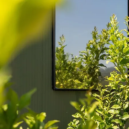 Lemon Grove With Private Pool - Oporto Lemon Farm, Near Porto Feriehus *