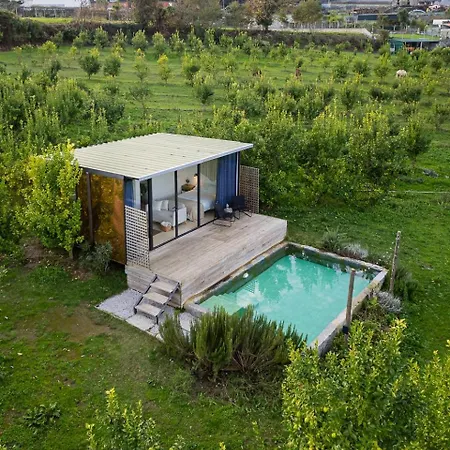 Lemon Grove With Private Pool - Oporto Lemon Farm, Near Porto * Valpedre